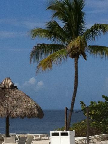 Country Club «Ocean Reef Club», reviews and photos, 35 Ocean Reef Dr, Key Largo, FL 33037, USA