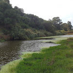 Photo n°4 de l'avis de Ange.a fait le 26/10/2016 à 11:58 sur le  Terme di Casteldoria à Santa Maria Coghinas
