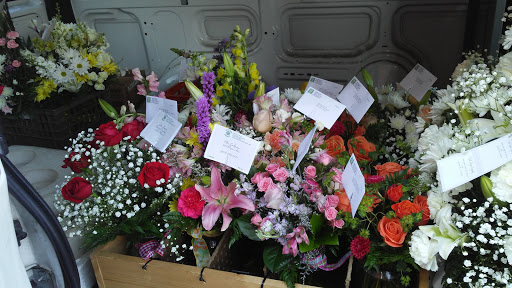 Florist «Ashland Florist», reviews and photos, 656 E Main St, Lexington, KY 40508, USA