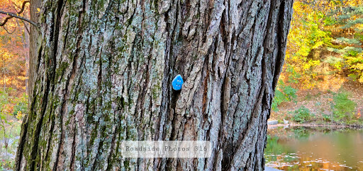 Park «Lykens Glen Park», reviews and photos, 706 Park View Rd, Lykens, PA 17048, USA