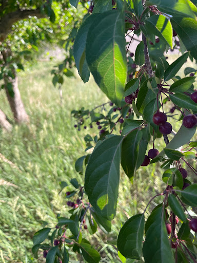 Park «Cherry Creek Valley Ecological Park», reviews and photos, 7500 S Jasper Ct, Centennial, CO 80112, USA