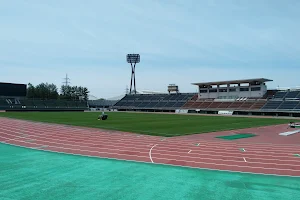 Seibu Ryokuchi Park image