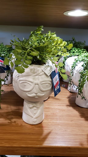 Home Goods Store «Pier 1 Imports», reviews and photos, 600 S Mt Juliet Rd #104, Mt Juliet, TN 37122, USA