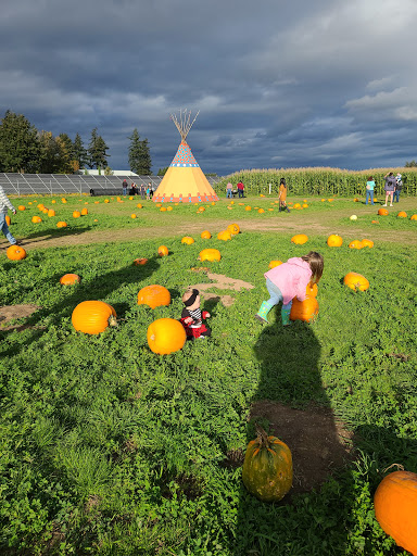 Market «E Z Orchards Farm Market», reviews and photos, 5504 Hazelgreen Rd NE, Salem, OR 97305, USA