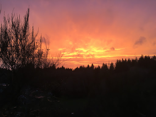 Pet Store «Four Paws on the Beach», reviews and photos, 144 Laneda Ave, Manzanita, OR 97130, USA