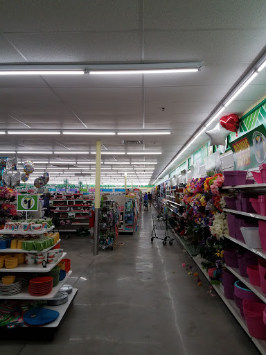 Dollar Store «Dollar Tree», reviews and photos, 2464 W Brandon Blvd, Brandon, FL 33511, USA