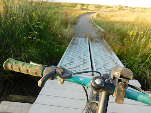 Bicycle Store «Freewheel Bike Eden Prairie», reviews and photos, 12910 Plaza Dr, Eden Prairie, MN 55344, USA