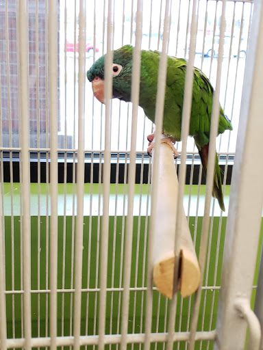 Pet Supply Store «Pet Supplies Plus», reviews and photos, 1810 Declaration Dr, Independence, KY 41051, USA