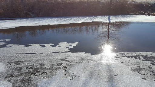 Golf Course «Springs Ranch Golf Club», reviews and photos, 3525 Tutt Blvd, Colorado Springs, CO 80922, USA