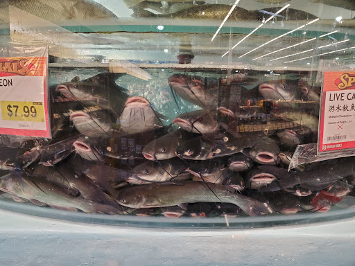 Asian Grocery Store «99 Ranch Market», reviews and photos, 25000 Blue Ravine Rd, Folsom, CA 95630, USA