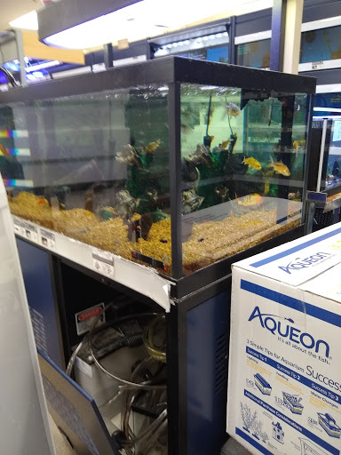 Pet Supply Store «Petco Animal Supplies», reviews and photos, 3264 Buford Dr NE #110, Buford, GA 30519, USA