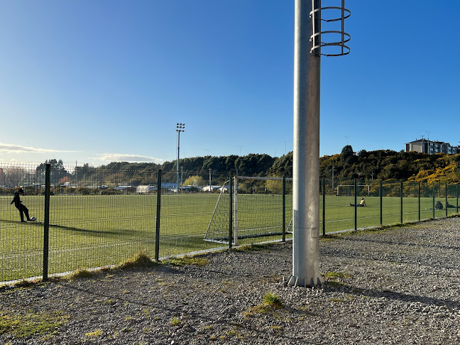 Complejo Deportivo Estero Lobos - Campo de fútbol