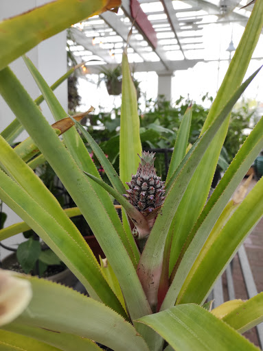 Hardware Store «La Grange Pk Ace Hardware Inc», reviews and photos, 900 E 31st St, La Grange Park, IL 60526, USA