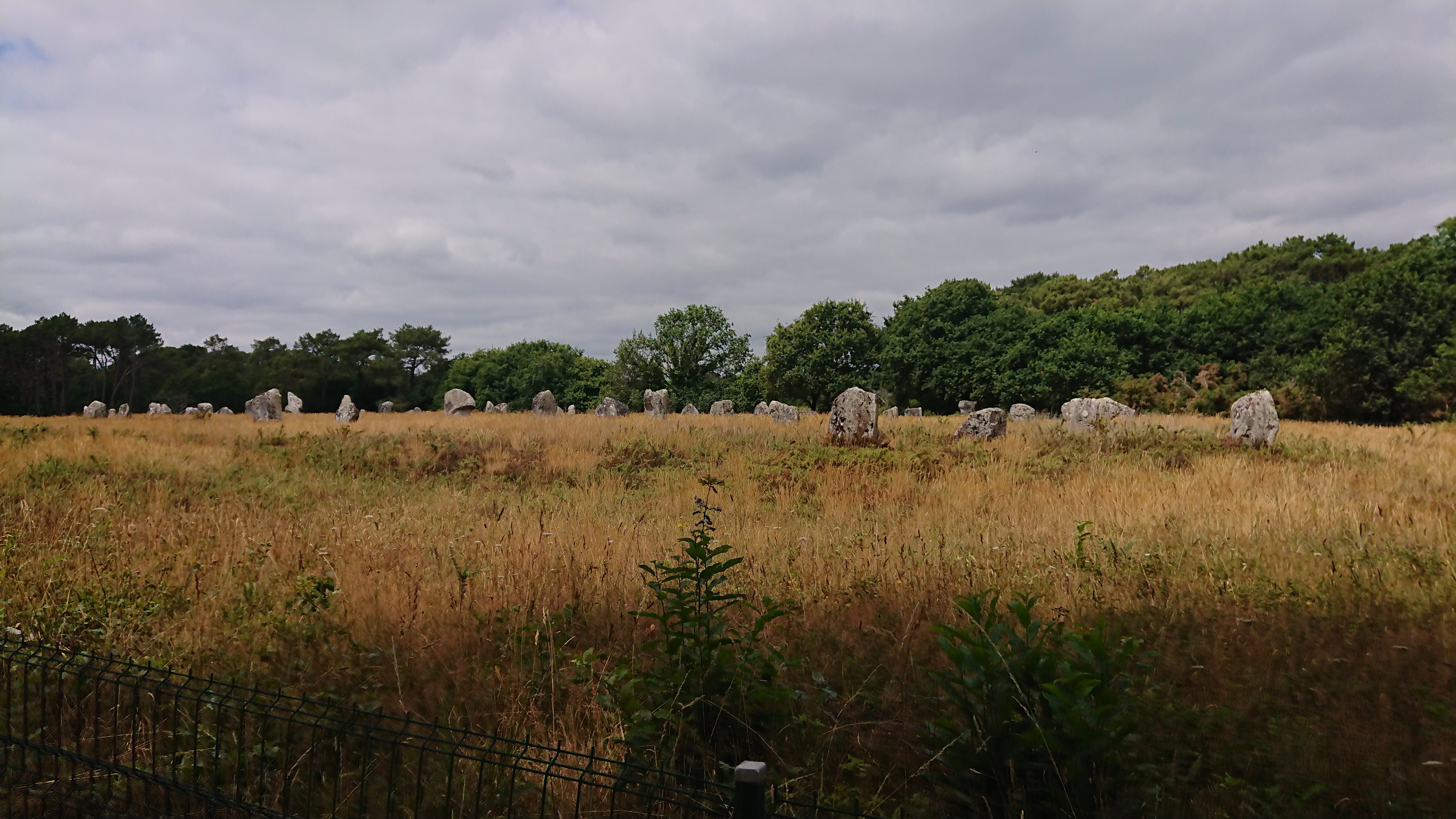 Photo n° 23 de l'avis de Aléane.T fait le 21/07/2022 à 15:37