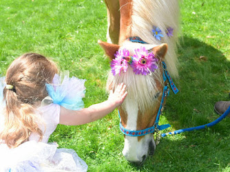 Blazing Saddles Pony Parties & Petting Zoo