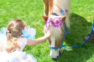 Blazing Saddles Pony Parties & Petting Zoo image