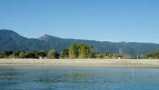 Alexandrian beach