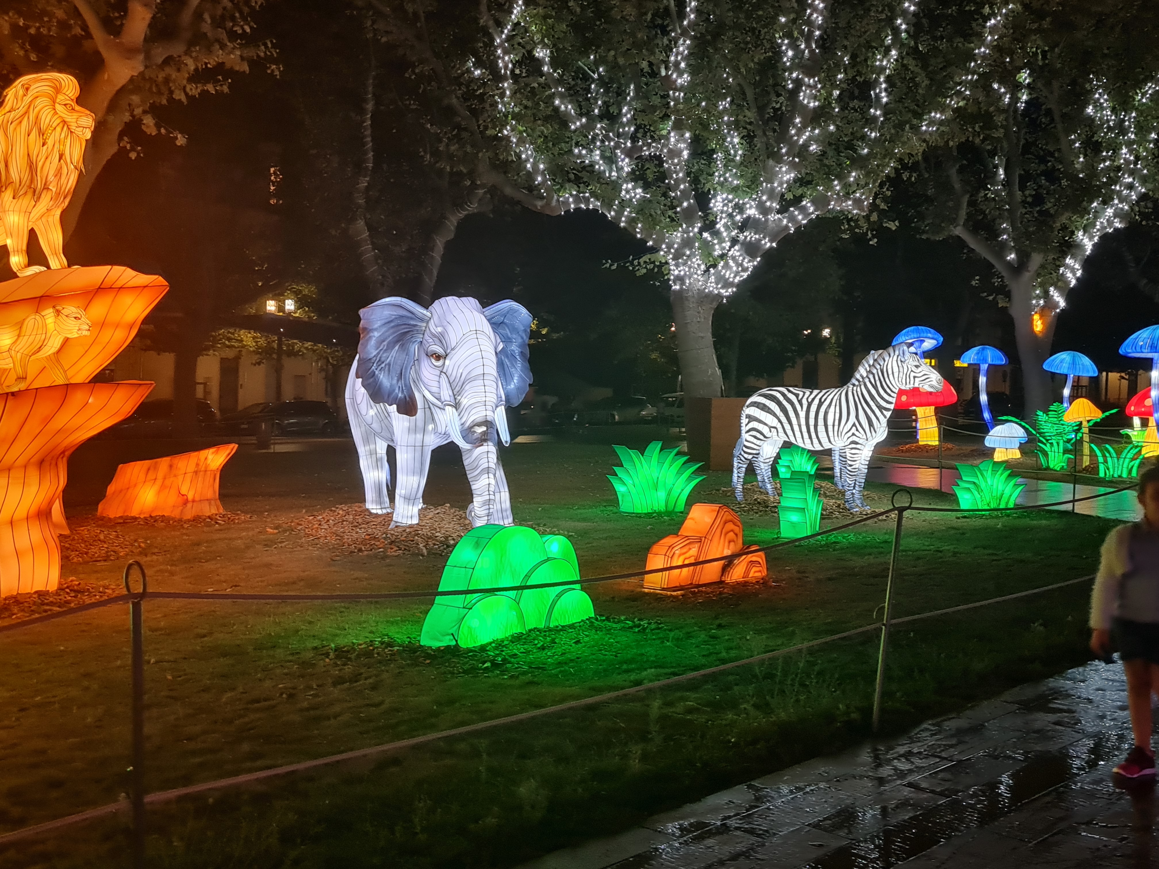 Photo n° 6 de l'avis de Amandine.u fait le 01/09/2021 à 19:07