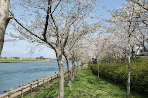 Sakuramichi Park image