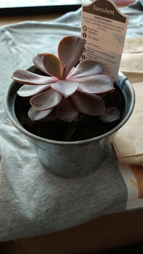 Supermarket «ALDI», reviews and photos, 8400 Phoenix Ave, Fort Smith, AR 72903, USA