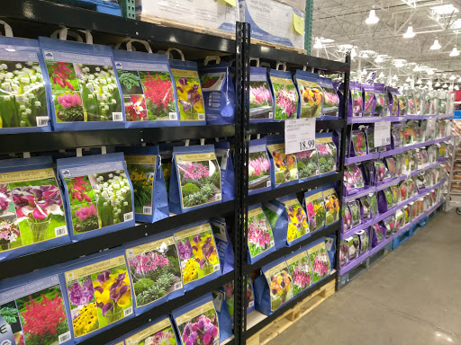 Warehouse store «Costco Wholesale», reviews and photos, 125 Beacon Dr, Holbrook, NY 11741, USA