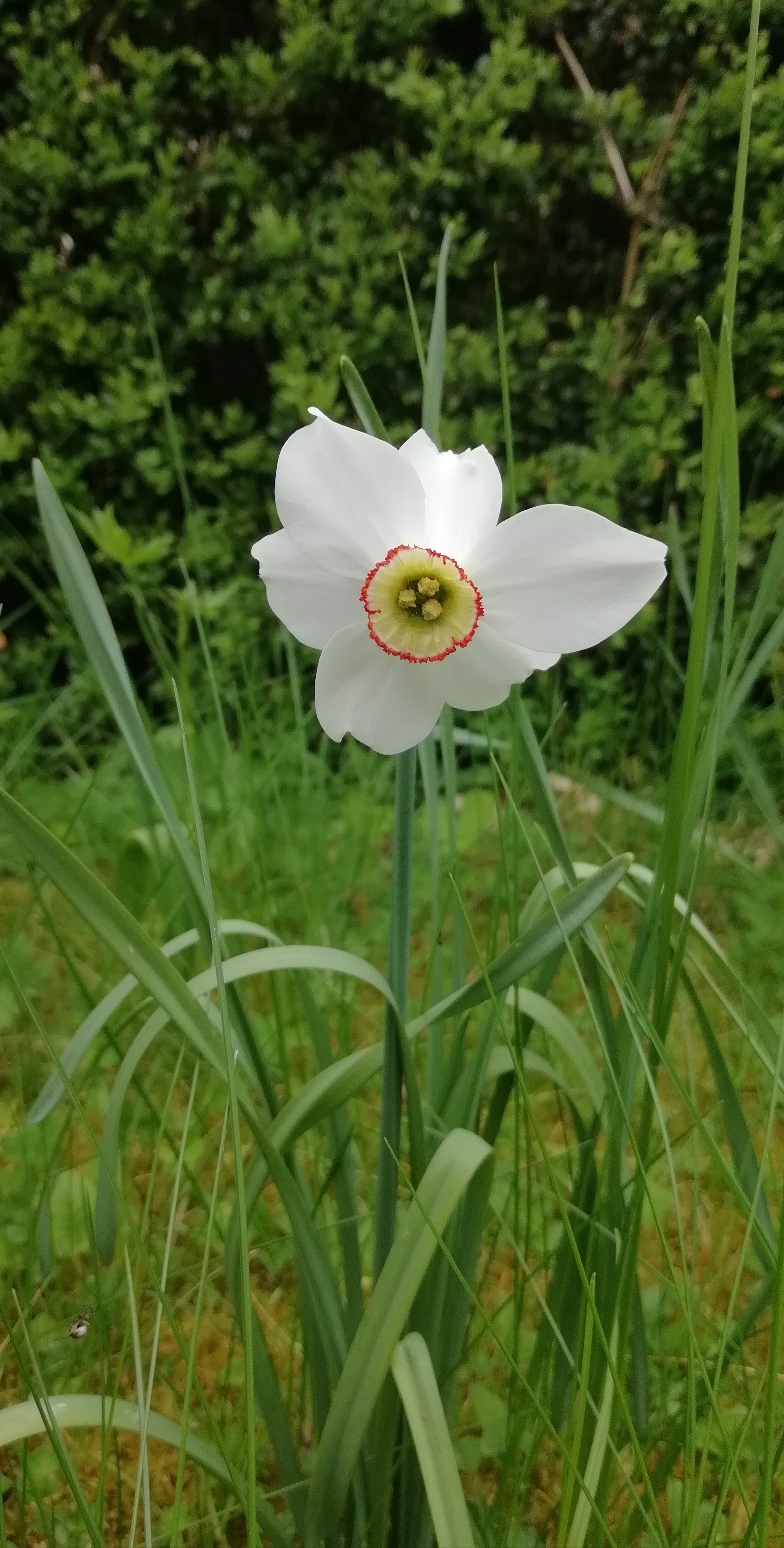 Photo n° 2 de l'avis de Gaele. fait le 29/04/2018 à 20:30