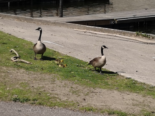 Fresh Food Market «West Side Market - Cleveland», reviews and photos