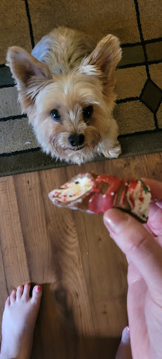 Pet Supply Store «Pet Supplies Plus», reviews and photos, 15034 San Pedro Ave Suite A, San Antonio, TX 78232, USA