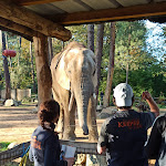 Photo n° 2 de l'avis de Famille.o fait le 13/11/2022 à 15:28 pour Zoo de La Flèche à La Flèche