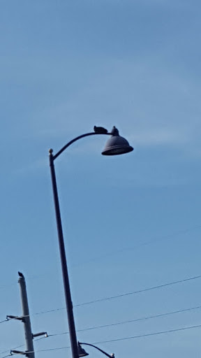 Shoe Store «Rack Room Shoes», reviews and photos, 4677 W Irlo Bronson Memorial Hwy, Kissimmee, FL 34746, USA