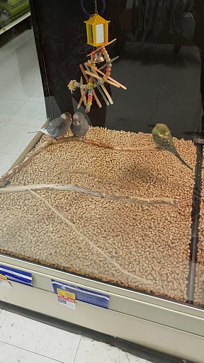 Pet Supply Store «PetSmart», reviews and photos, 8440 S Kipling Pkwy, Littleton, CO 80127, USA