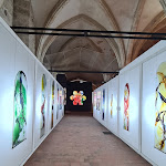 Photo n° 5 de l'avis de Cecilia.a fait le 07/08/2022 à 00:20 pour Centre international du Vitrail de Chartres à Chartres