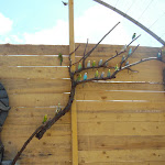 Photo n° 9 de l'avis de sabrina.8 fait le 23/07/2017 à 16:35 pour ZooParc Du Cannet Des Maures à Le Cannet-des-Maures