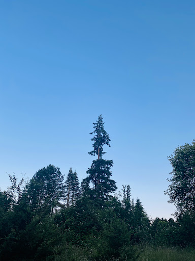 Park «N. Creek Park», reviews and photos, 1011 183rd St SE, Bothell, WA 98012, USA