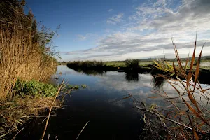 RSPB Exminster and Powderham Marshes image