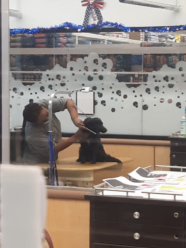 Pet Supply Store «PetSmart», reviews and photos, 2101 NJ-35, Holmdel, NJ 07733, USA