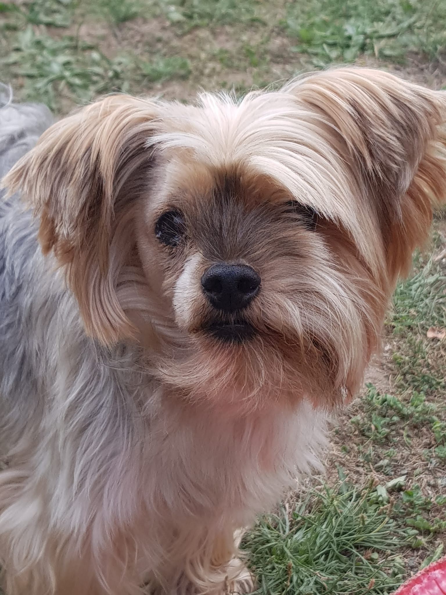 Photo n° 1 de l'avis de marien.l fait le 01/09/2019 à 12:55