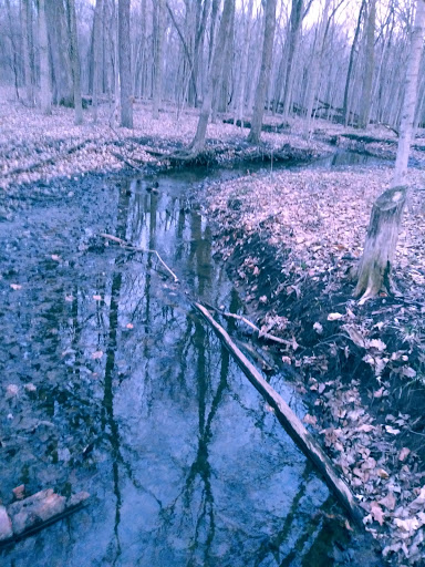 Golf Course «Woodruff Golf Course», reviews and photos, 621 Gougar Rd, Joliet, IL 60432, USA