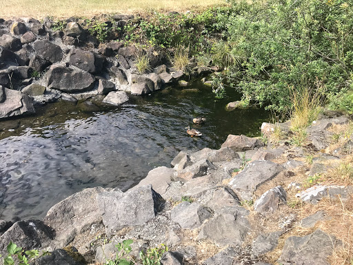 State Park «Saltwater State Park», reviews and photos, 25205 8th Pl S, Des Moines, WA 98198, USA