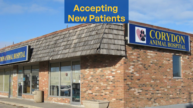 Corydon Animal Hospital