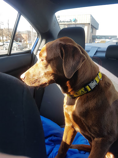 Pet Supply Store «Pet Supplies Plus», reviews and photos, 375 Paterson Ave #105, Wallington, NJ 07057, USA