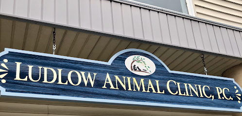 Ludlow Animal Clinic, P.C.
