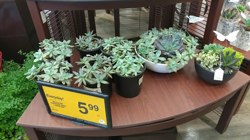 Grocery Store «Safeway», reviews and photos, 1159 W Chandler Blvd, Chandler, AZ 85224, USA