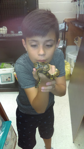 Pet Store «Pets Plus», reviews and photos, 454 TN-46, Dickson, TN 37055, USA