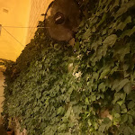 Photo n°1 de l'avis de Alessandro.e fait le 04/06/2022 à 06:06 sur le  Osteria Caccianferno à Trani