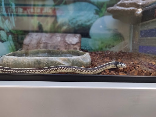 Pet Supply Store «Petsense Fort Worth», reviews and photos, 1408 Eastchase Pkwy #100, Fort Worth, TX 76120, USA