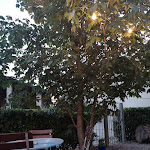 Photo n°1 de l'avis de Cristina.i fait le 10/07/2021 à 09:38 sur le  La Baita Biergarten à Ispra