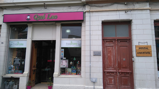 Librería Qué Leo - Punta Arenas
