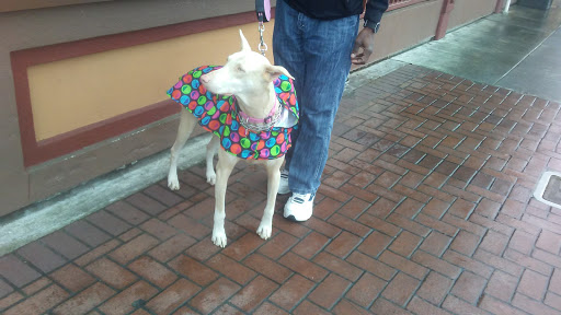 Coffee Shop «Starbucks», reviews and photos, 326 5th St, Eureka, CA 95501, USA