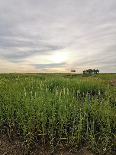 Park «Morse Park», reviews and photos, Morse Ave, West Haven, CT 06516, USA